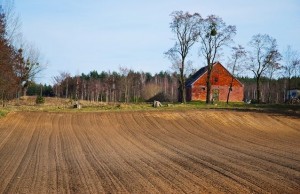 działka rolna